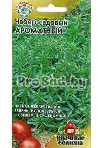 Чабер садовый Ароматный