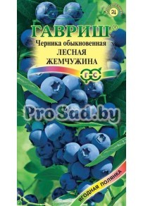 Черника обыкновенная Лесная жемчужина