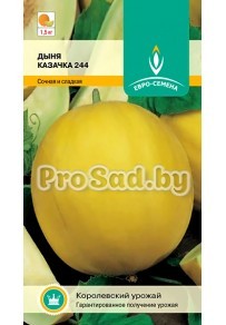 Дыня Казачка 244