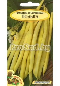 Фасоль спаржевая кустовая Полька (Польша)
