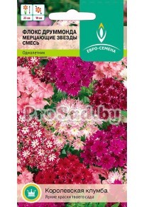 Флокс друммонда Мерцающие звёзды