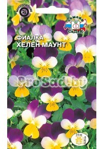 Фиалка Хелен Маунт