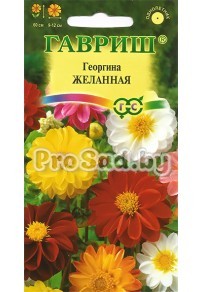 Георгина Желанная, смесь