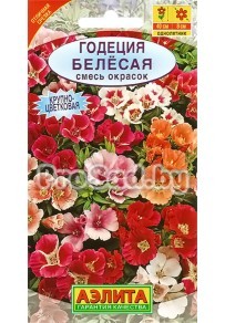Годеция крупноцветковая Белёсая, смесь