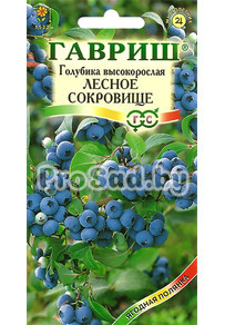 Голубика высокорослая Лесное сокровище