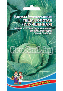Капуста белокочанная Теща золотая (улучшенная)