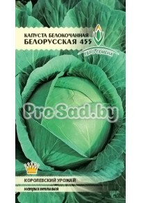 Капуста белокочанная Белорусская 455