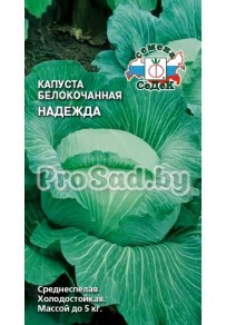 Капуста белокочанная Надежда