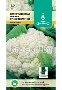 Капуста цветная Ранняя Грибовская 1355