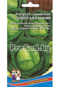 Капуста савойская Золотая ранняя