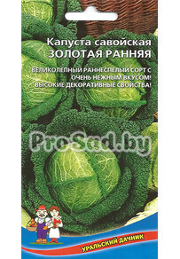 Капуста савойская Золотая ранняя