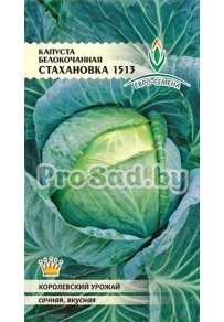 Капуста белокочанная Стахановка 1513