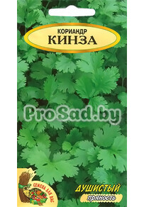 Кориандр Кинза