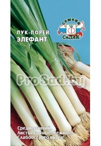 Лук-порей Элефант