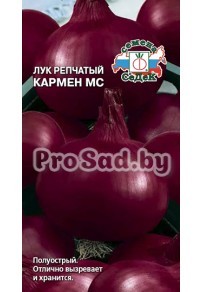 Лук репчатый Кармен МС