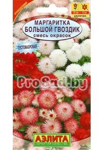 Маргаритка Большой гвоздик, смесь