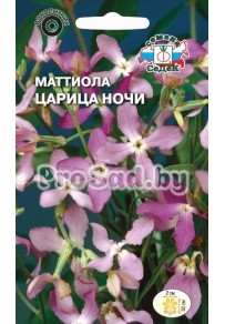 Маттиола Царица Ночи