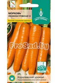 Морковь Лосиноостровская 13