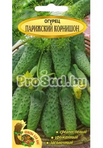 Огурец Парижский корнишон (Польша)