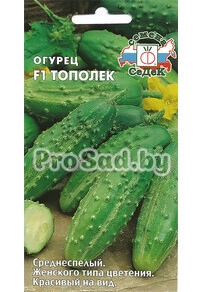 Огурец F1 Тополёк