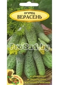 Огурец Верасень