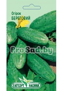 Огурец Береговой
