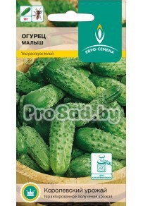 Огурец Малыш