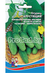 Огурец Хрустящий