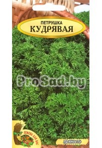 Петрушка Кудрявая (Польша)