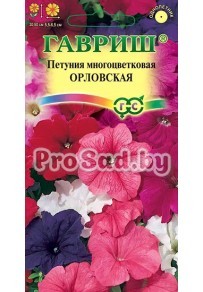 Петуния многоцветковая Орловская, смесь