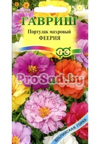 Портулак махровый Феерия, смесь