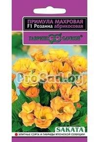 Примула махровая F1 Розанна абрикосовая (Япония)