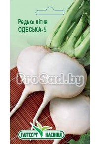 Редька летняя Одесская 5