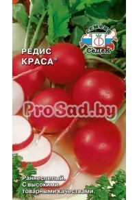 Редис Краса