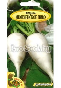 Редька Мюнхенское пиво (Польша)