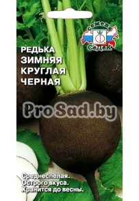 Редька Зимняя круглая Чёрная