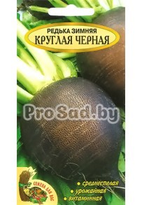 Редька Зимняя круглая чёрная (Польша)