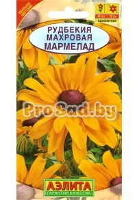 Рудбекия махровая Мармелад
