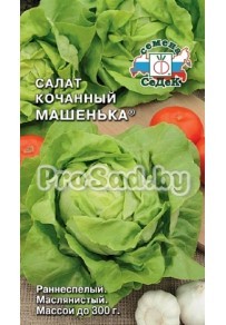 Салат кочанный Машенька