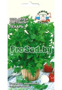 Сельдерей листовой Лекарь
