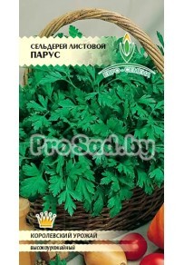 Сельдерей листовой Парус