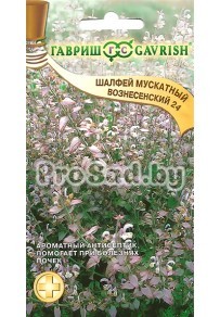 Шалфей мускатный Вознесенский 24