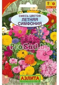 Смесь однолетних цветов Летняя симфония