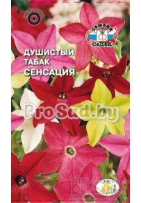 Табак душистый Сенсация
