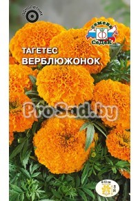 Тагетес прямостоячий низкорослый Верблюжонок