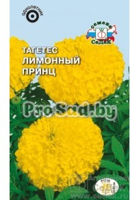 Тагетес Лимонный Принц