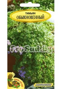 Тимьян Обыкновенный (Польша)