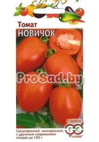 Томат Новичок