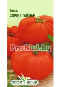 Томат Спринт таймер
