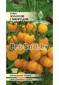 Томат Золотой самородок